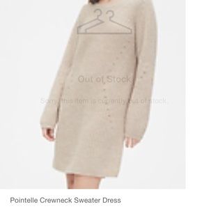 Pointelle Crewneck Sweater Dress